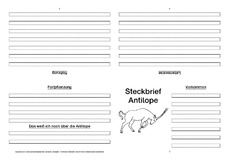 Antilope-Faltbuch-vierseitig.pdf